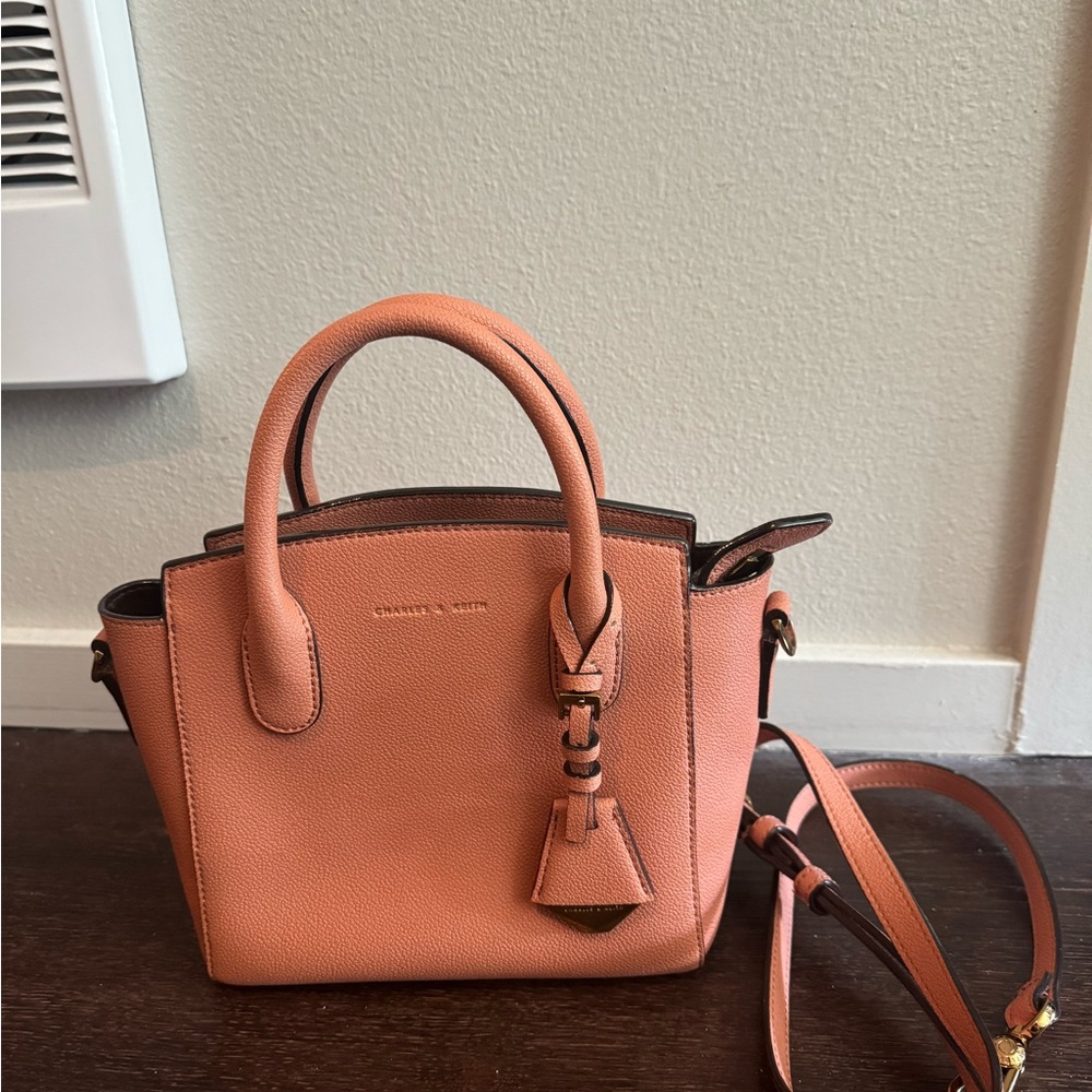 Charles & Keith Coral Satchel